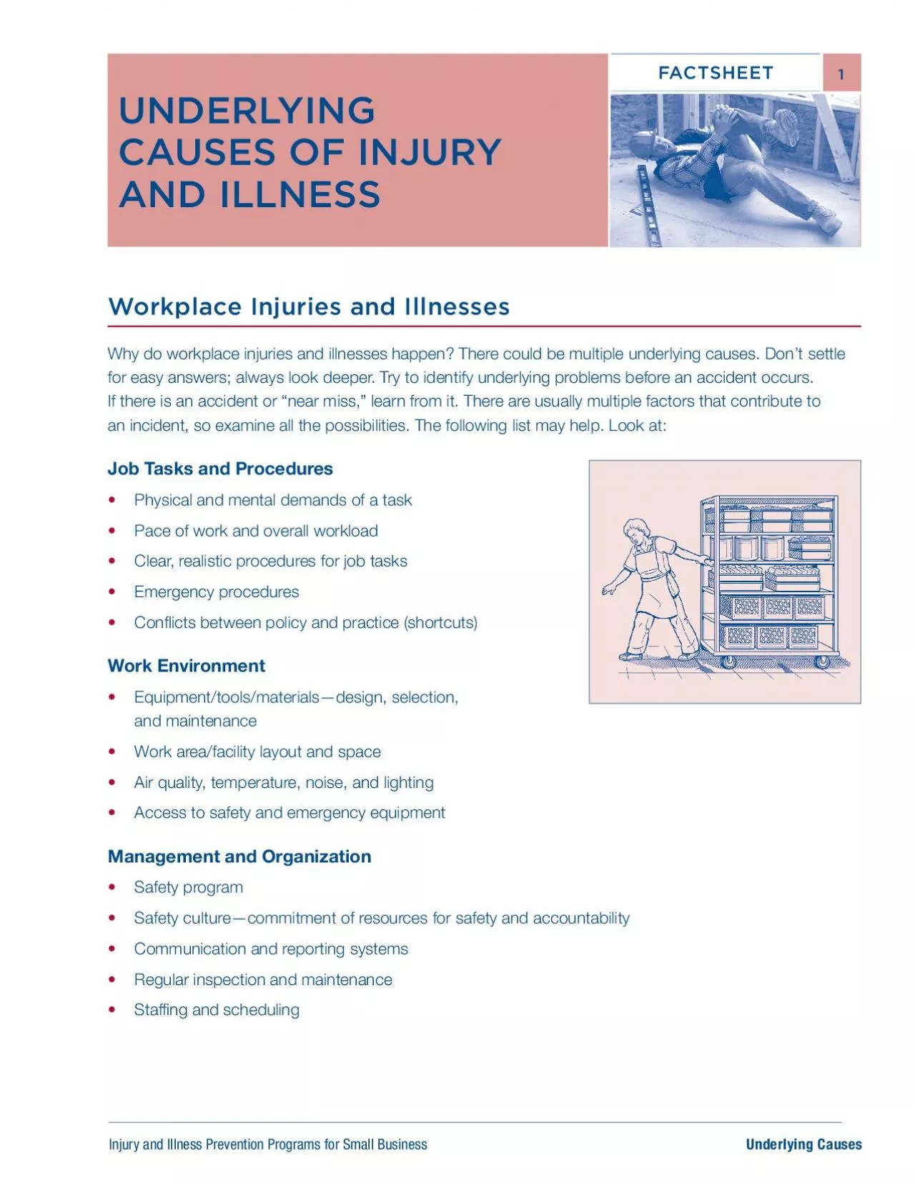 PDF-UNDERLYING CAUSES OF INJURY AND ILLNESS FACTSHEET31