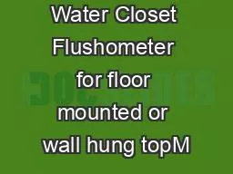 Concealed Water Closet Flushometer for floor mounted or wall hung topM