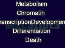 Metabolism Chromatin  TranscriptionDevelopment Differentiation  Death
