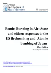 Bombs Bursting in Air State and citizen responses to t