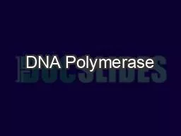 DNA Polymerase