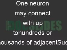 One neuron may connect with up tohundreds or thousands of adjacentSucc