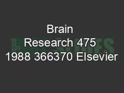 Brain Research 475 1988 366370 Elsevier