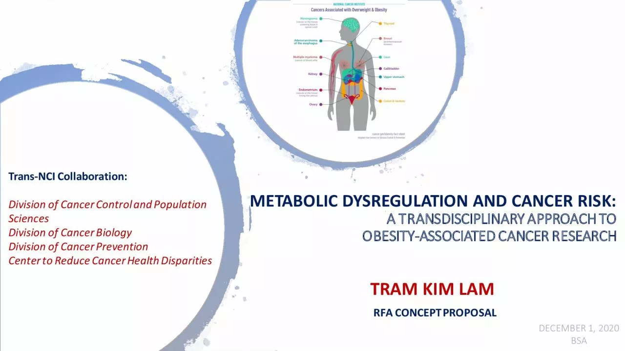 PDF-TRAM KIM LAM