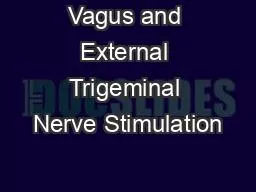 Vagus and External Trigeminal Nerve Stimulation