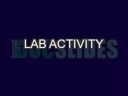 LAB ACTIVITY