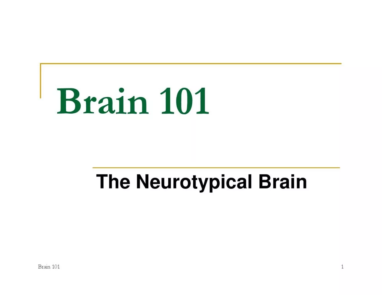 PDF-The Neurotypical Brain