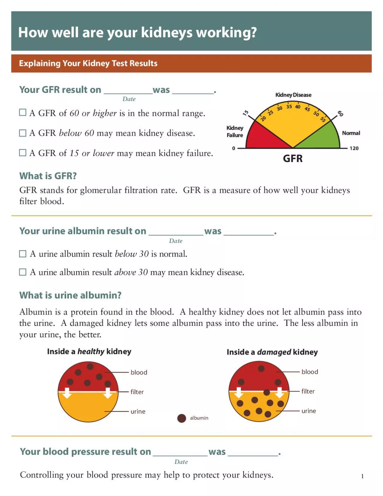 PDF-How well are your kidneys working Explaining Your Kidney Test Results