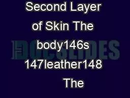 Dermis  The Second Layer of Skin The body146s 147leather148      The