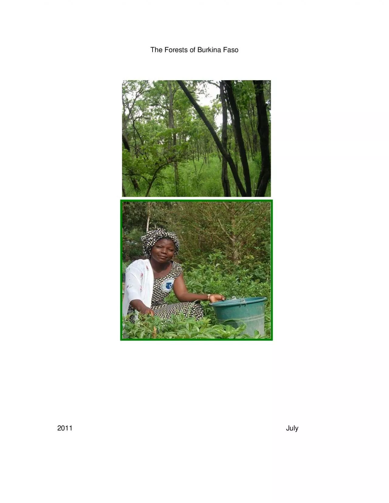 PDF-The Forests of Burkina Faso