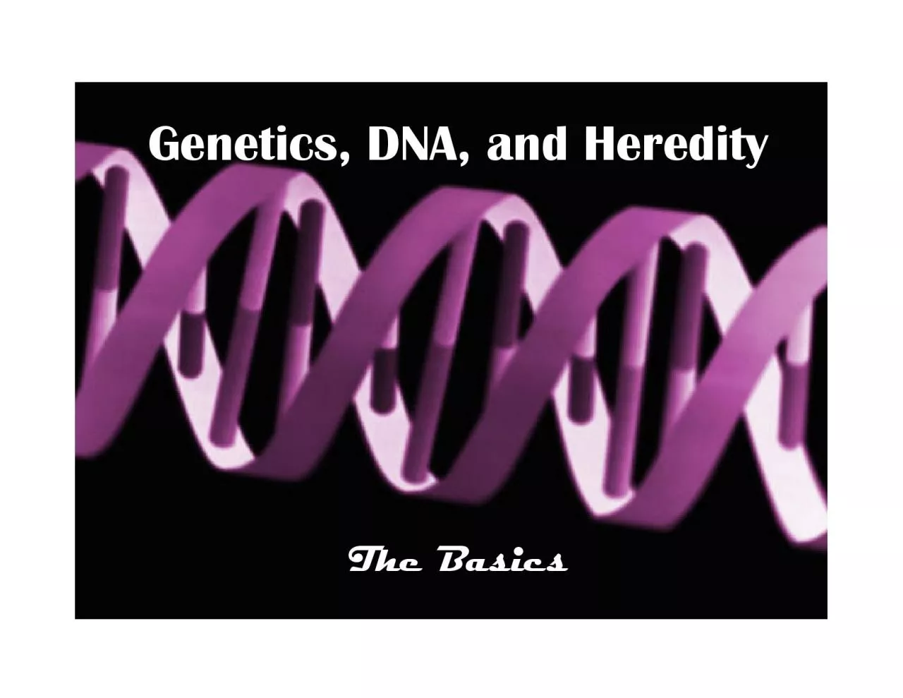 PDF-Genetics DNA and HeredityThe Basics