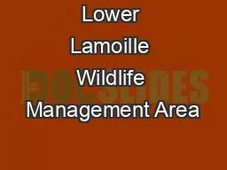 Lower Lamoille Wildlife Management Area