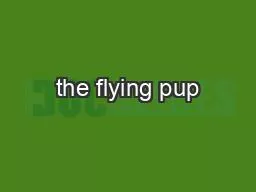 the flying pup