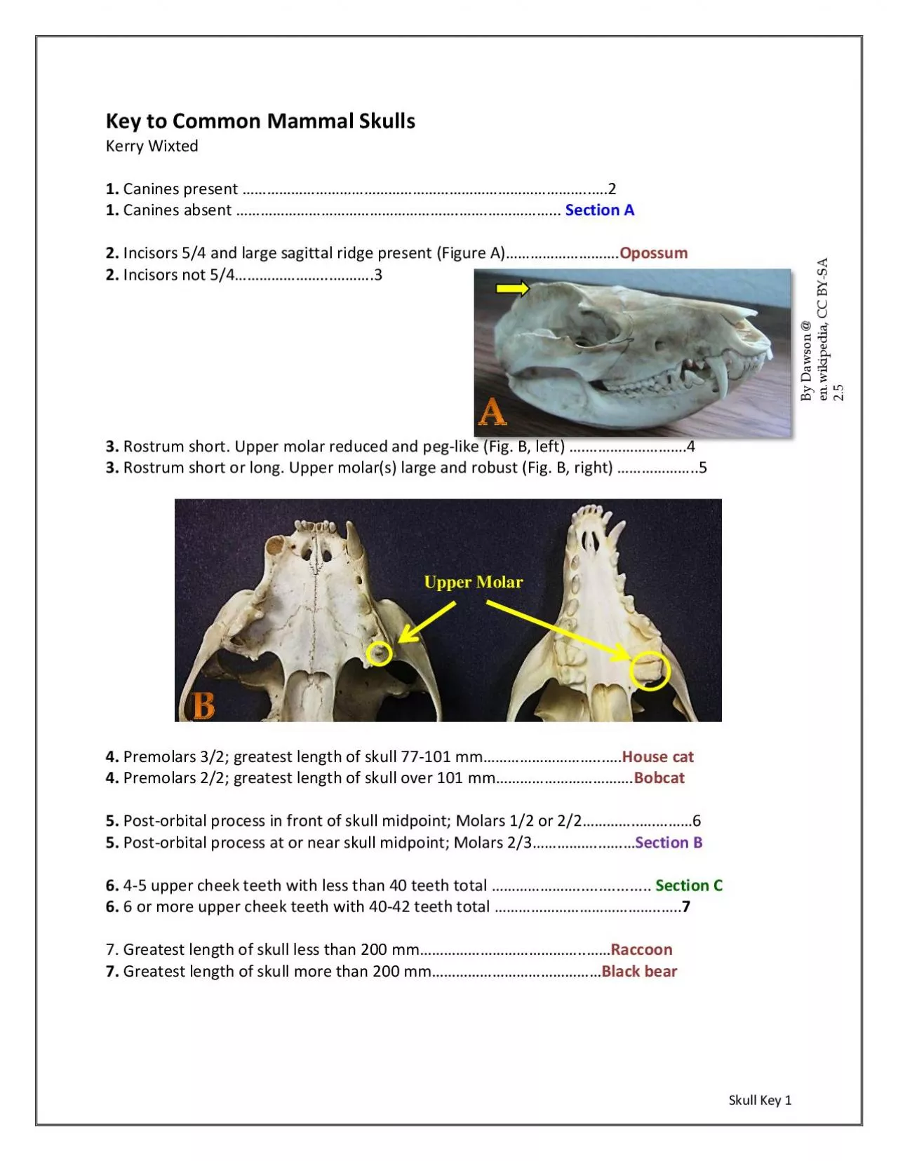 PDF-Key to Common