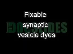 Fixable synaptic vesicle dyes