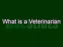What is a Veterinarian