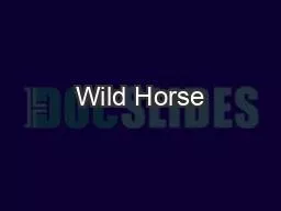 Wild Horse