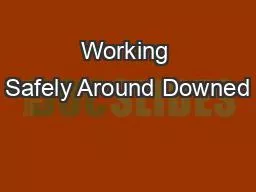 Working Safely Around Downed