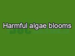 Harmful algae blooms