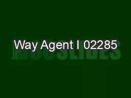 PDF-Way Agent I 02285