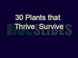 PDF-30 Plants that Thrive Survive