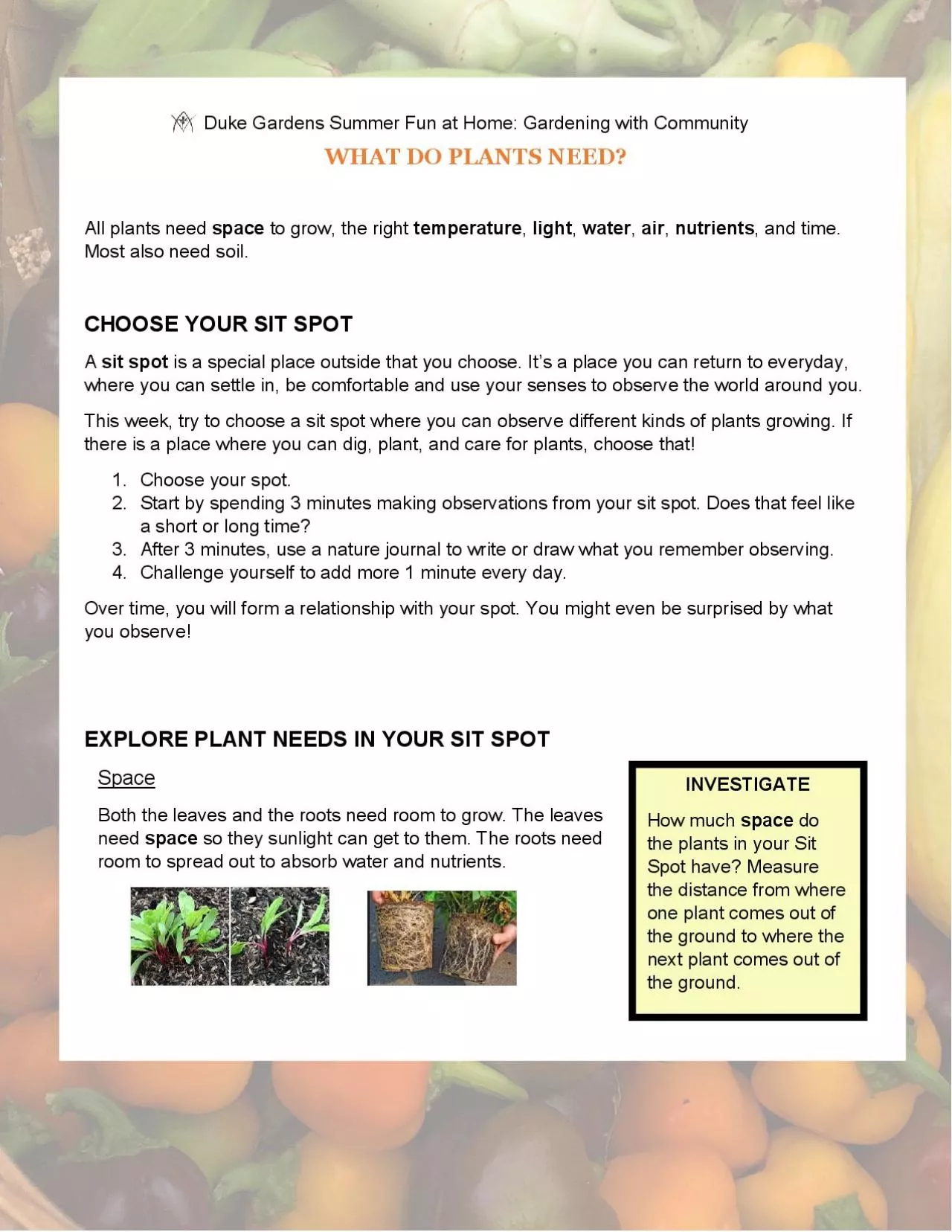 PDF-Duke Gardens Summer Fun at Home Gardening with CommunityWHAT DO PLANTS