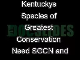 Appendix 11  Kentuckys Species of Greatest Conservation Need SGCN and