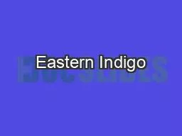 Eastern Indigo