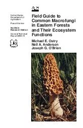 PDF-United StatesDepartment of AgricultureForest ServiceNorthern Research