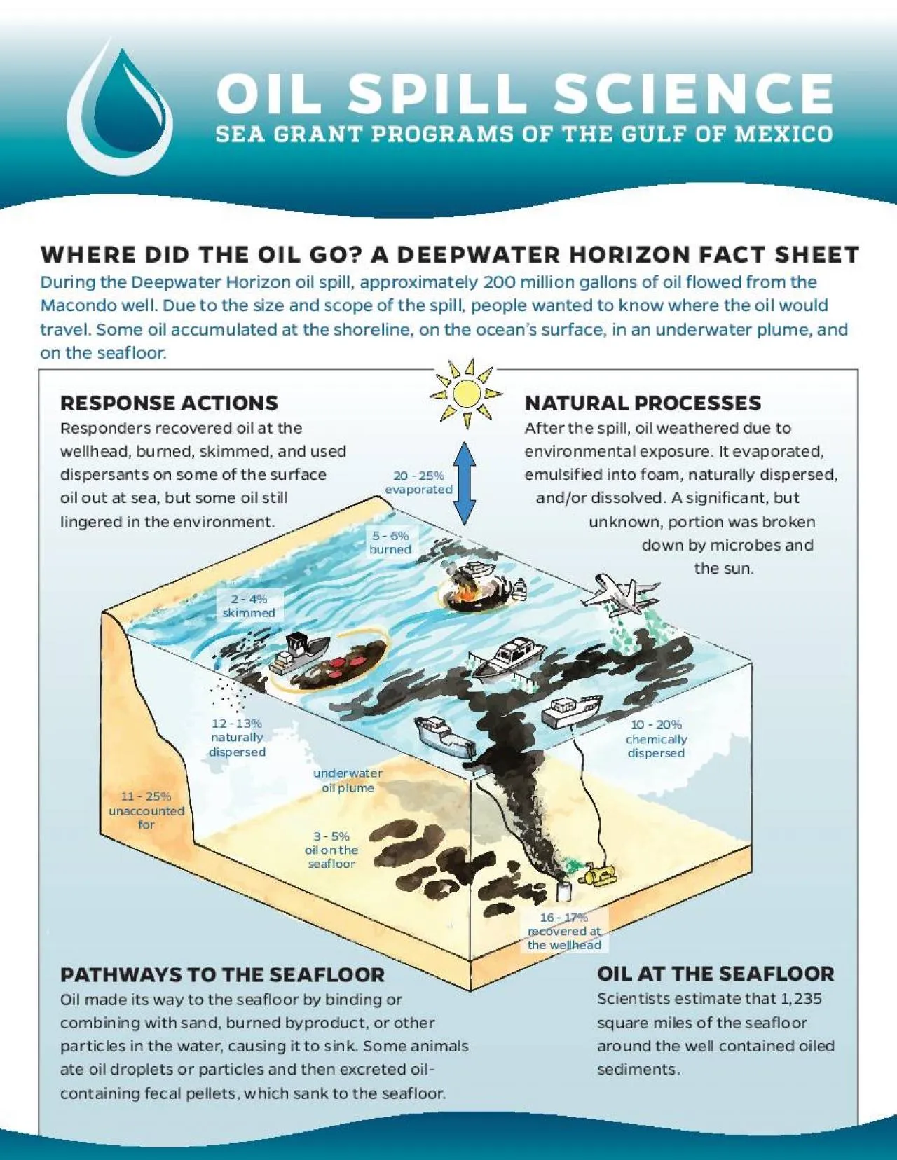 PDF-WHERE DID THE OIL GO A DEEPWATER HORIZON FACT SHEET