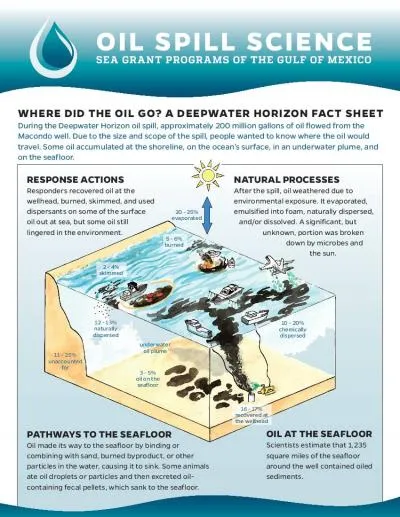 WHERE DID THE OIL GO A DEEPWATER HORIZON FACT SHEET