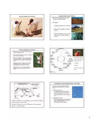 1
AVIAN ANNUAL CYCLES