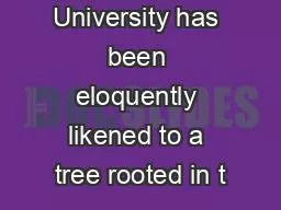 epperdine University has been eloquently likened to a tree rooted in t