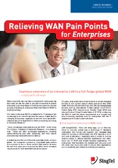 Relieving wan pain points for enterprises