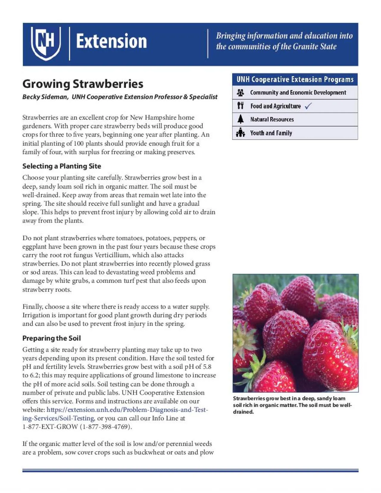 PDF-Growing Strawberries