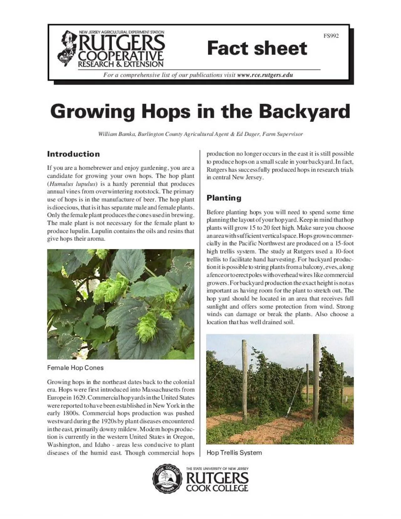 PDF-annual vines from overwintering rootstock The primaryto produce hops o