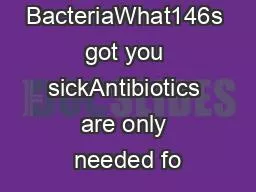 Viruses or BacteriaWhat146s got you sickAntibiotics are only needed fo