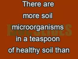 There are more soil microorganisms in a teaspoon of healthy soil than