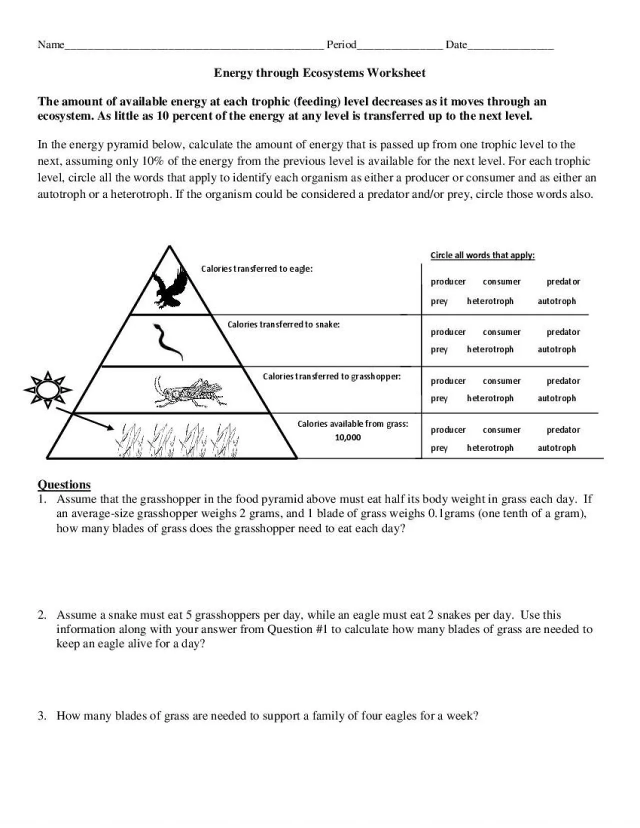 PDF-Period Date