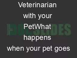 Visiting the Veterinarian with your PetWhat happens when your pet goes