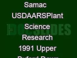 Deborah Samac   USDAARSPlant Science Research 1991 Upper Buford Dawn