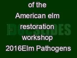 Proceedings of the American elm restoration workshop 2016Elm Pathogens