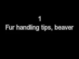 1
Fur handling tips, beaver