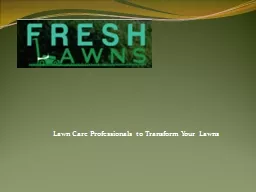 Lawn Care Professionals to Transform Your Lawns