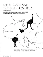 b Edwar EdelsoFlightless birds—ratites—have testing ground for ways to evolutionaryPeriwatiw