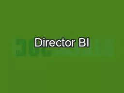 Director BI