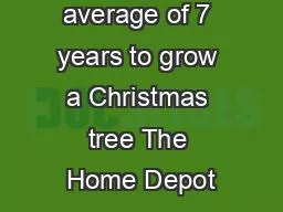 It takes an average of 7 years to grow a Christmas tree The Home Depot