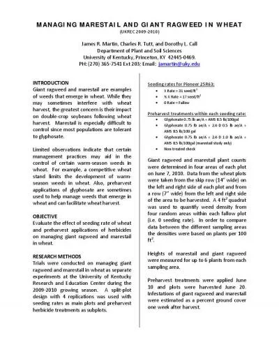 MANAGING MARESTAIL AND UKRECCharlesjamartinukyedu