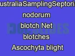 AustraliaSamplingSeptoria nodorum blotch Net blotches Ascochyta blight