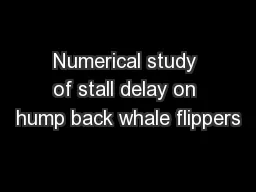 Numerical study of stall delay on hump back whale flippers